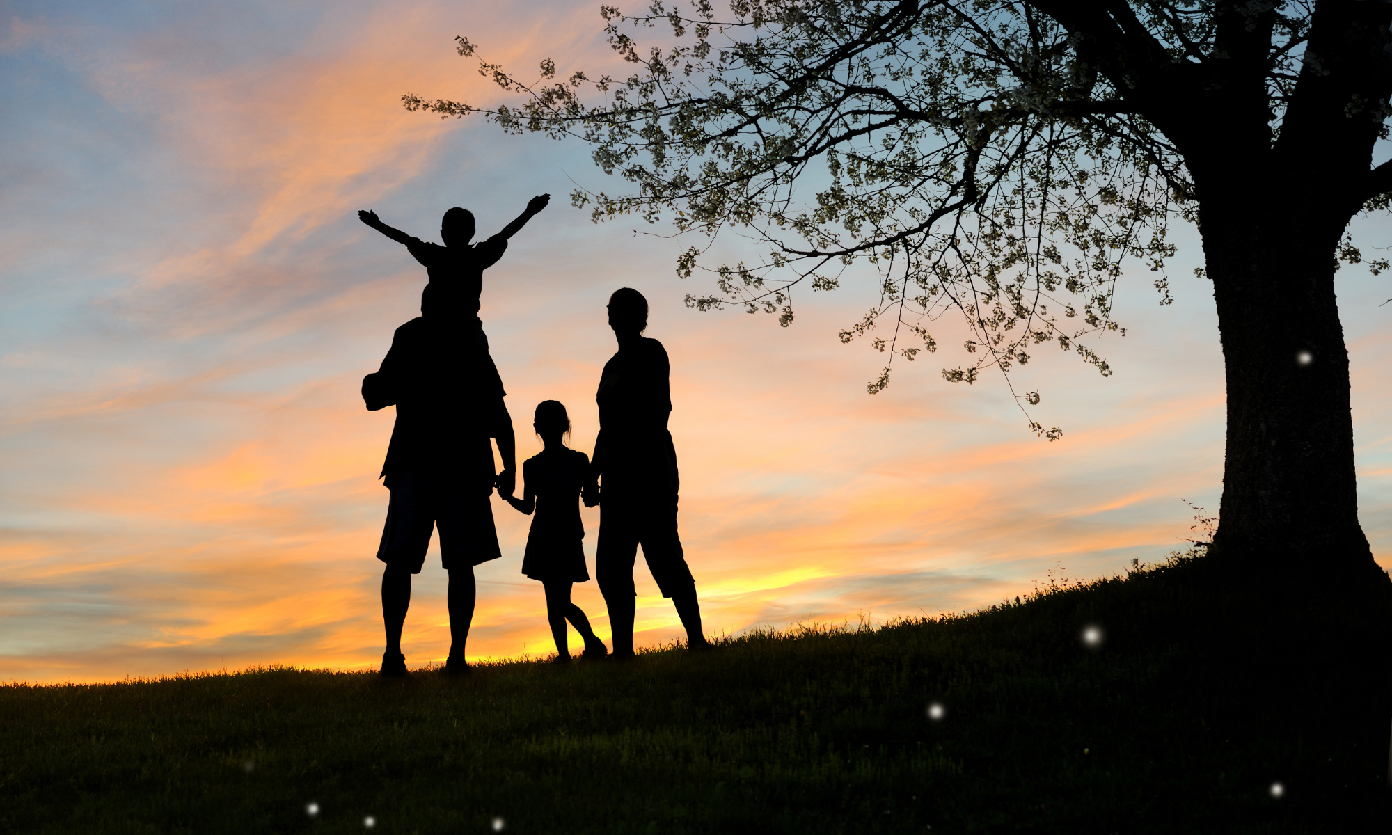 family prepare plan
