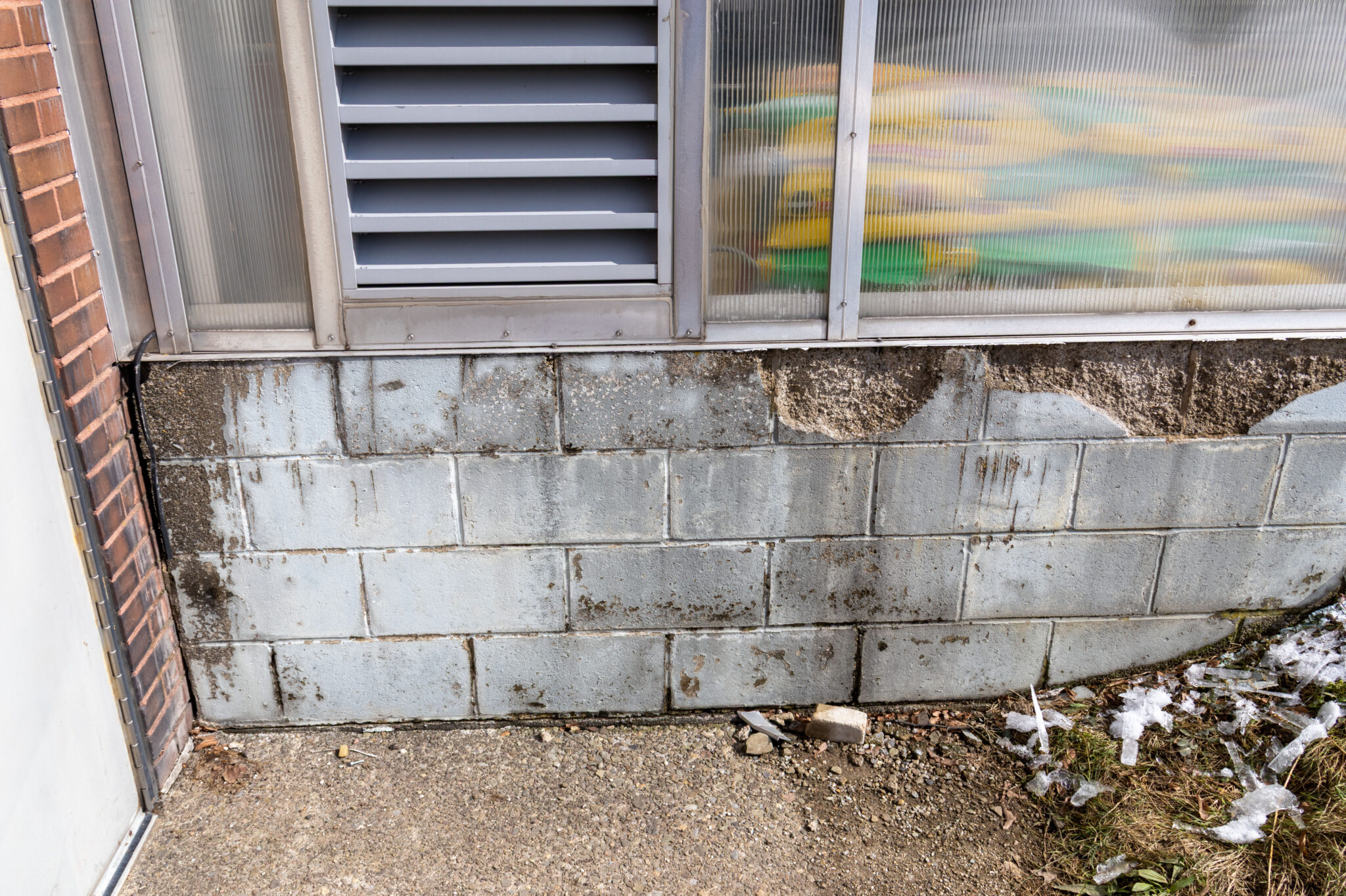 LoGuidice greenhouse 2