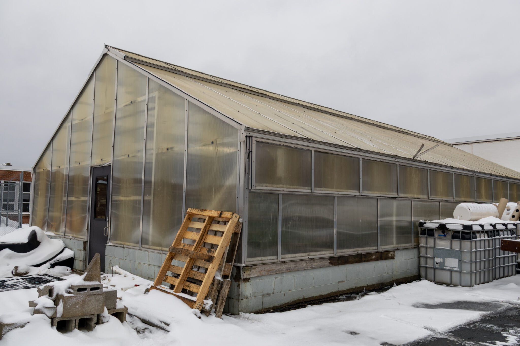 Ormsby greenhouse